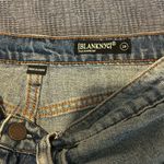 BLANK NYC The Barrow Vintage High- Rise Jean Short Size 28 Photo 4