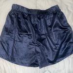 Earthbound Navy Blue Shorts Photo 2