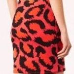 Topshop Cheetah Leopard Print Dress Photo 1