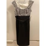 Zebra Print London Style Misses Career Dress Black Size 8 Photo 1