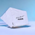 Karl Lagerfeld NWOT  PARIS SEQUINS EMBROIDERED LOGO SUPER SOFT SCARF Photo 3