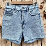 PacSun Eco Light Blue Raw Cut '90s Girlfriend Denim Shorts Photo 1