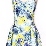 J.O.A. Floral Fit And Flare Mini Dress Photo 0