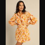 Charlie Holiday Amber Orange 70s Floral Belted Shirt Dress 4 Photo 5