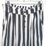 American Eagle Gray & White Striped High Rise Relaxed Crop Pants Photo 2