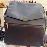 Freshly Picked Diaper Bag Blue Photo 0