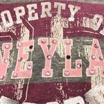 Disney  PARKS Disneyland Resort Bling Striped Pink Gray Hoodie Sweatshirt Size XL Photo 3