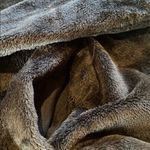 Lands' End  Quarter Snap Fleece Pockets Mock Neck Black Size LARGE 14-16 Photo 3