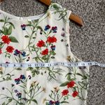 Rose + Olive 🦋  Cream Floral Sleeveless Blouse Casual Formal Spring Medium Photo 4