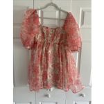 Audrey Parks Medium Pink Floral Coquette Mini Babydoll Dress Ethereal Mini Photo 6