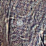 Lululemon Wunder under size 4 high rise tight polychromatic nulux multi black Photo 5