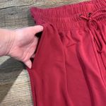Fabletics Cherry Burst Blaine Jogger Sz S Photo 3