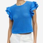 ZARA NWT bright blue sleeveless open woven mesh ruffle top, size large Photo 0