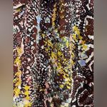 Free People Saturday Sunday Animal Print Mini Skirt size 12 $78 Photo 12