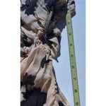 Denim 24 7 Tunic Top Shirt Blouse 20W 20 Floral Roll Tab Pintuck Boho Western Red Photo 4