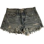 AGOLDE Parker Vintage Cut Off Denim Short 27 Women’s Swapmeet Blue Photo 1