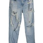 American Eagle  Womens 90s Straight Pride Jeans Sz 10 Distressed Light Wash Photo 0