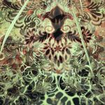 Live and let live  Tie-dye sequin Shirt PM Photo 3