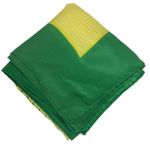 Green and Yellow Scarf Photo 3