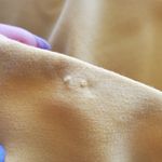 Nine West  Yellow Pencil Straight Skirt 14 Photo 7