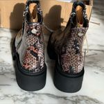 Seven7 New in Box Seven 7 Brown Snake Moto Boot Size 7 Photo 6