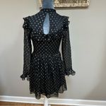 Robert Rodriguez  Black Label Women's Silver Silk Sheer High Neck Blouse Size 0 Photo 4