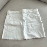 Free People Skirt Photo 1