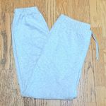 PARKE Heather Grey Jogger Sweatpants Small/Medium Silver Size undefined Photo 0