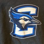 Champion  Creighton University Bluejay Logo Medium Gray Pullover Hoodie Sweater Photo 1