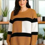 Andree by Unit NEW  Colorblock Cozy Crewneck Sweater Fall Holiday Size 1X Photo 0