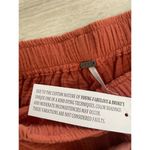 Young Fabulous and Broke  Drawstring Clay Linen Shorts Photo 2