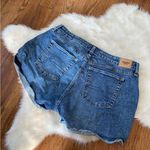 Denizen from Levi's High Rise Denim Distressed Shorts Photo 1