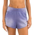 Aviator Nation  5 Stripe Pocket Club Shorts in Faded Grape Photo 1