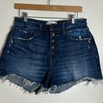 Abercrombie & Fitch  high rise fly button mom shorts curve love size 30 Photo 0