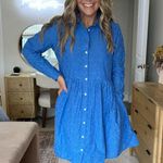 J. Crew Factory Women’s Eyelet Mini Shirt Dress Longsleeve Collared in Blue 14 Photo 3