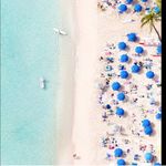 Splendid NWT x Gray Malin Joggers Sweatpants Embroidered Parasol Beach Umbrellas Photo 9