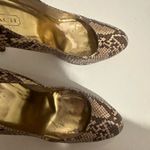 Coach  Chelsey Natural Snake-Embossed Leather Round Toe Pumps High Heels Size 9 Photo 2