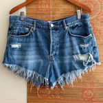 Free People Distressed Denim Cut Off Shorts Photo 0