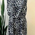Apt. 9  Cheetah Print Sleeveless Sheer Dress with Lining 6 Photo 0
