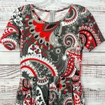 LuLaRoe Amelia Black, Gray, Red, and White Fit and Flare Dress, EUC, Size XS Photo 1