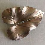 Vintage Brooch Pin Brushed Textured Gold Tone Leaf Crystal Rhinestones Judy Lee Photo 0