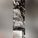 Connected Apparel Free w/Bundle Womens  Black/Brown vneck sleeveless Dress size 6 Photo 3