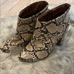 breckelle's Snakeskin Ankle Boots size 6.5 Photo 1