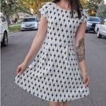 Renee C  wavy print skaterstyle dress  Photo 0