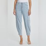 Pistola  Silva Carrot Pant in Boulevard from anthropologie Photo 1
