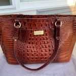 Brahmin Purse Photo 0