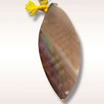 Free People Ariana Ost The Era Strand Necklace Mustard NWT Shell Bohemian Hippi Photo 6