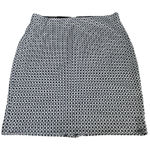 Loft 3/$15 blue and white skirt Photo 0