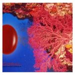 925 Sterling Silver Italian Coral Necklace Handmade Gemstone Womens Jewelry Red Photo 2