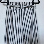 Windsor Black and White Striped Belted Pants Size Small Photo 9